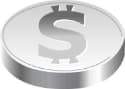 Silver Coin