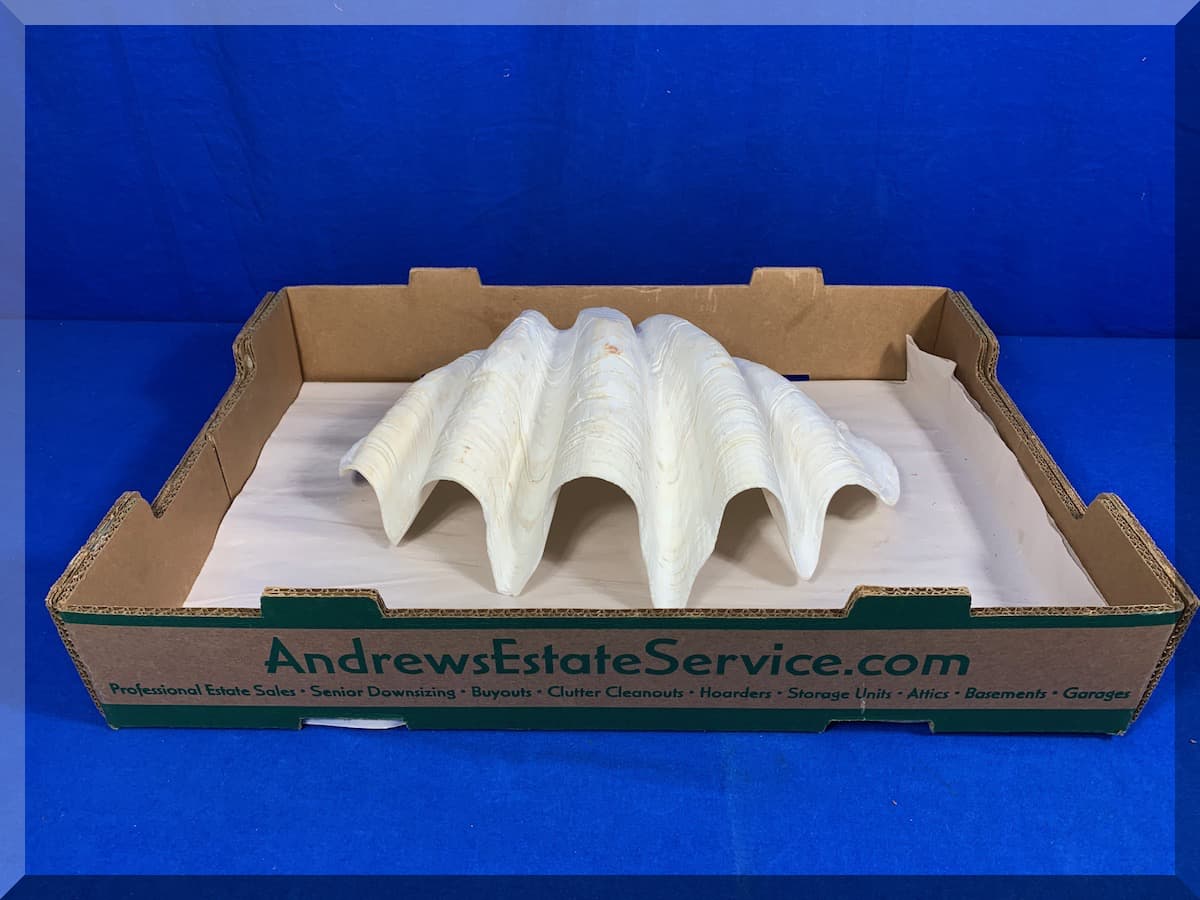 Andrews Estate Service AES86 Giant Clam Shell Andrews Estate Service AES86 Giant Clam Shell
