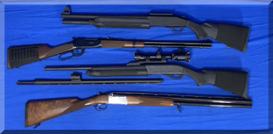Andrews Estate Service AES86 Hunting Rifles & Shotguns Require Background Checks