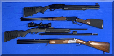 Andrews Estate Service AES86 Hunting Rifles & Shotguns Require Background Checks