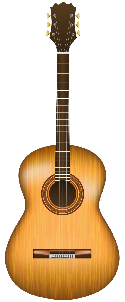 Acoustic Guitar Acoustic Guitar