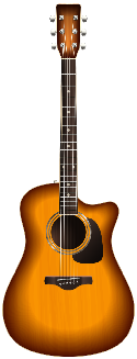Electric Guitar Electric Guitar