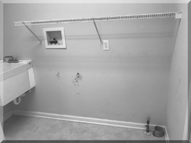 Andrews Estate Service Household Liquidation Specialists Laundry Room Williamsville NY 14221 Emptied