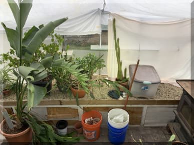 Andrews Estate Service Household Liquidation Specialist Spare Room Greenhouse